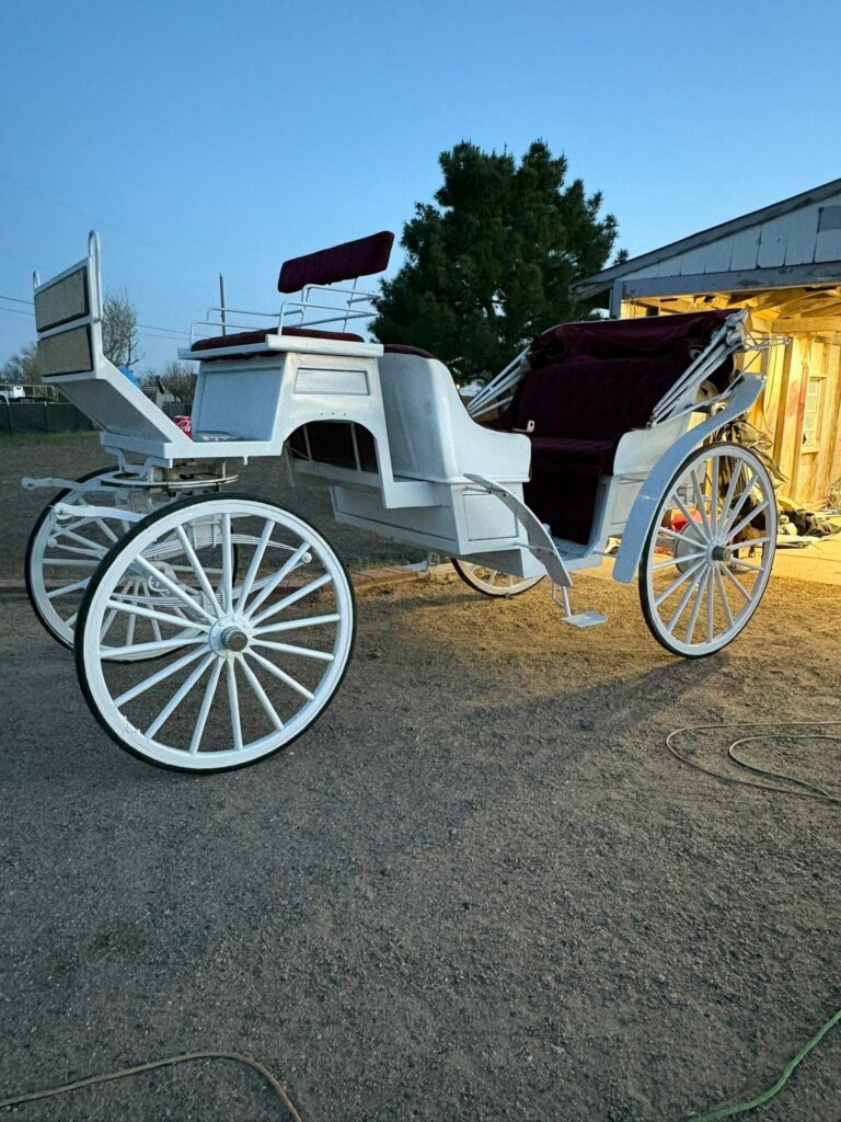 theatre-artist-template-repertoire-img-3 carriage ext