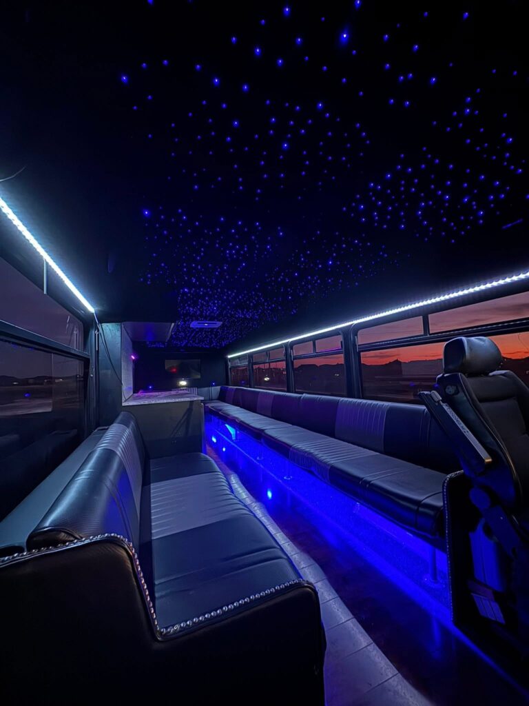 theatre-artist-template-repertoire-img-1 party bus interior